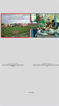 Mobile Screenshot of cirs-notfallmedizin.de